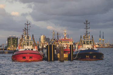 Germany, Hamburg, Two tugboats moored at Neumuhlen pier - KEBF02120