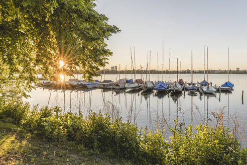 Germany, Hamburg, Sailboats moored along Outer Alster Lake jetty at sunrise - KEBF02162