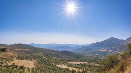 Sonnenschein über Hügeln und Bergen mit Olivenhainen in Andalusien, Spanien, Europa - SMAF02064