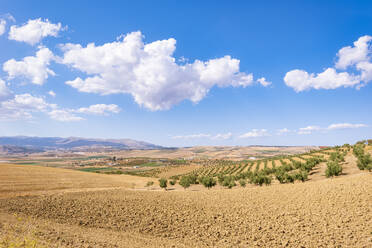 Wolken über Ackerland in der Nähe der Stadt Alhama de Granada in Andalusien, Spanien, Europa - SMAF02073