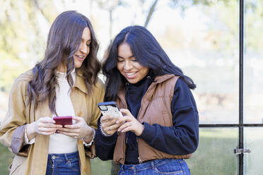 Smiling young woman sharing smart phone with friend on campus - IFRF01423