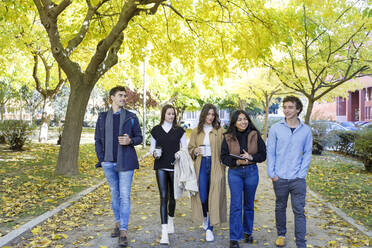 Young friends walking in college park - IFRF01467