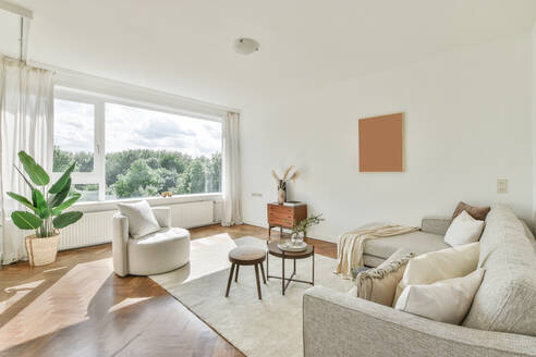 Stilvolle Einrichtung eines modernen geräumigen Wohnzimmers mit bequemem Sofa auf Teppich - ADSF33321