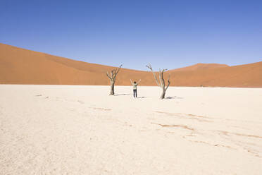 Luftaufnahme einer Person, die zwischen zwei abgestorbenen Bäumen im Deadvlei-Gebiet in der Wüste Namibias steht. - AAEF13656