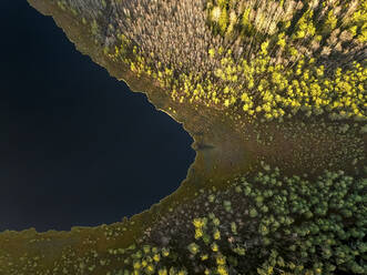 Luftaufnahme eines Sumpfsees im Regionalpark Kurtuvenai in Litauen. - AAEF13692