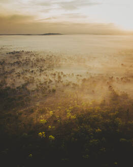 Luftaufnahme einer nebligen Landschaft in Australien, in den Northern Territories. - AAEF13715