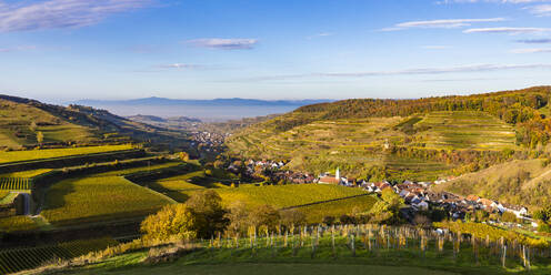 Deutschland, Baden-Württemberg, Vogtsburg im Kaiserstuhl, Weinberge rund um eine ländliche Stadt im Kaiserstuhl - WDF06728