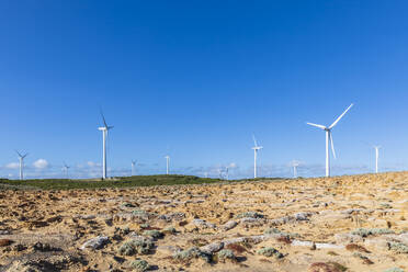 Australien, Victoria, Cape Bridgewater, Klarer blauer Himmel über Windpark-Turbinen - FOF12694