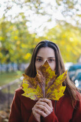 Frau hält Herbstblatt im Park - AMWF00078