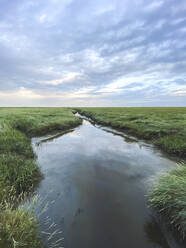 Clouds over summer marsh at dusk - ASCF01636