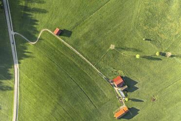 Deutschland, Bayern, Berg, Luftaufnahme einer grünen Wiese im Frühling - WFF00555