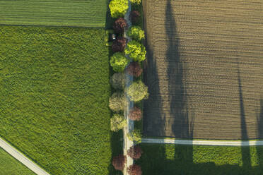 Aerial view of plowed field in spring - WFF00558