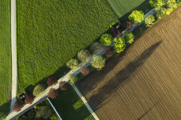 Aerial view of plowed field in spring - WFF00559