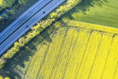 Luftaufnahme eines Rapsfeldes im Frühjahr mit - WFF00561