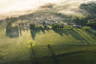 Deutschland, Bayern, Berg, Luftaufnahme einer Weide und eines Dorfes in der nebligen Morgendämmerung - WFF00566