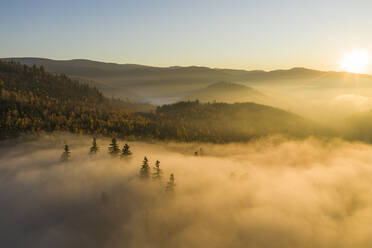 Panoramablick aus der Luft auf eine Bergkette, die im Herbst mit Nebelschwaden bedeckt ist, Schwarzwald, Deutschland. - AAEF13872