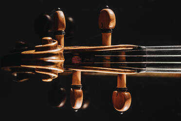 Studio shot of violin scroll and tuning pegs - DAWF02443