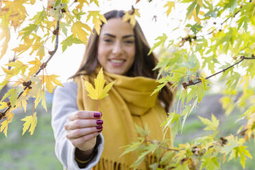 Smiling young woman holding yellow autumn leaf in park - EIF03147