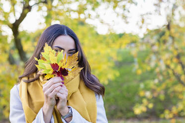 Young woman holding autumn leaves in front of face at park - EIF03149