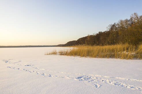 Fußspuren auf schneebedecktem Terrain in der Dämmerung - ASCF01654