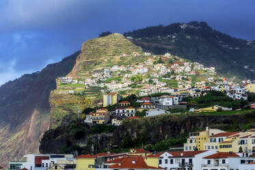 Stadt Camara De Lobos, Funchal, Madeira, Portugal - THAF03008