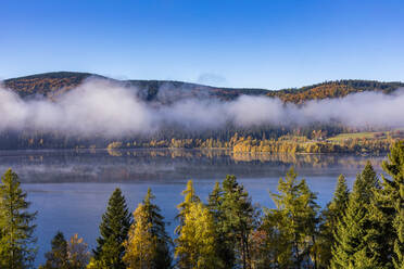 Nebelschwaden über dem Schluchsee im Herbst - WDF06745