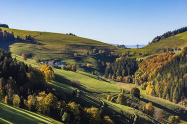 Germany, Baden-Wurttemberg, Wieden, Rural landscape of Black Forest in autumn - WDF06751