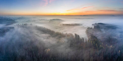 Drohnenansicht des in Morgennebel gehüllten Welzheimer Waldes - STSF03123