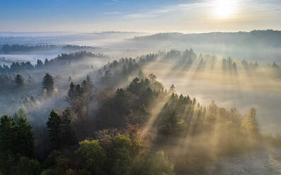 Drone view of sun rising over fog shrouded Welzheim Forest - STSF03124