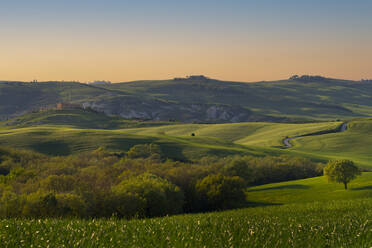 Italy, Province of Siena, Meadow in Val dOrcia at springtime dusk - LOMF01322