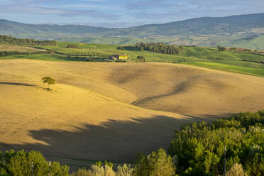 Italy, Province of Siena, Springtime fields in Val dOrcia - LOMF01323