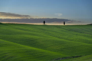 Italien, Provinz Siena, Grüne Hügel des Val dOrcia in der Frühlingsdämmerung - LOMF01324