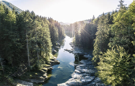 Sylvensteinsee inmitten des Waldes an einem sonnigen Tag, Bayern, Deutschland - WFF00653