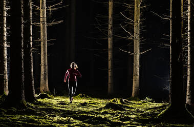 Young woman jogging in forest at night - STSF03134
