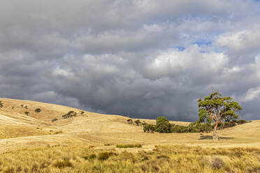 Australien, Südaustralien, Bewölkter Himmel über gelben grasbewachsenen Hügeln - FOF12755