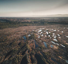 Luftaufnahme der frühlingshaften Moorseen, des Waldes und des Weges im Seli-Moor am Abend, Jarvamaa, Estland. - AAEF13989