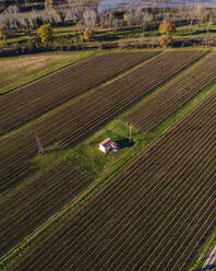 Luftaufnahme eines Hauses auf einem landwirtschaftlichen Feld, Sieci, Toskana, Italien. - AAEF14040