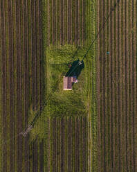 Luftaufnahme eines Hauses auf einem landwirtschaftlichen Feld, Sieci, Toskana, Italien. - AAEF14041