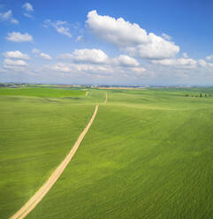 Luftaufnahme einer Straße, die eine grüne Wiese durchquert, Ruhama Badlands, Israel. - AAEF14095