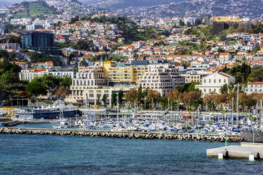 Portugal, Madeira, Funchal, Im Hafen der Küstenstadt vertäute Yachten - THAF03024