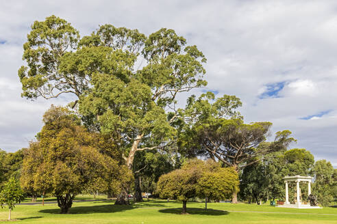 Australien, Südaustralien, Adelaide, Grüne Bäume in Angas Gardens mit Angas Family Memorial im Hintergrund - FOF12768