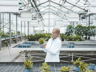 Biologist analyzing plants in greenhouse - JOSEF06611