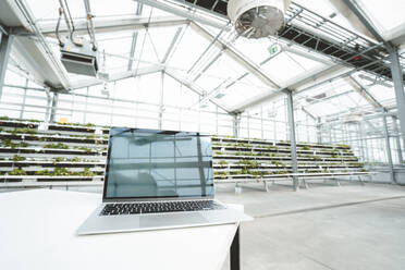 Laptop auf dem Tisch im Gartencenter - JOSEF06617