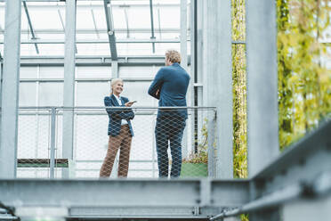 Agronomist discussing with coworker in greenhouse - JOSEF06649