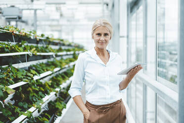 Biologist with tablet PC in greenhouse laboratory - JOSEF06750