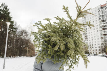 Man carrying fir tree on shoulder in winter - EYAF01912