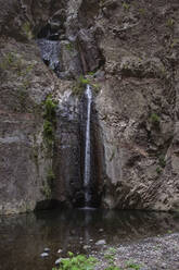 Wasserfall im Barranco del Infierno, Teneriffa, Spanien - HLF01282