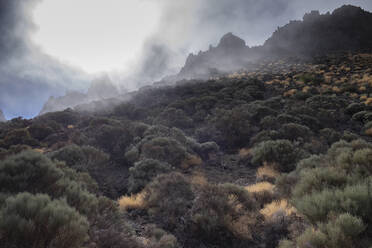 Nebel über vulkanischer Landschaft im Nationalpark El Teide, Teneriffa, Kanarische Inseln, Spanien - HLF01286