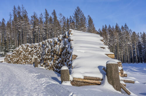 Logs covered with snow at Harz National Park, Wernigerode, Saxony-Anhalt, Germany - PVCF01342