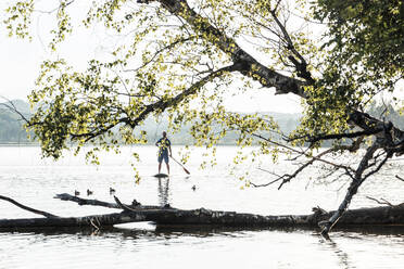 Mann beim Paddeln auf dem Staffelsee in Murnau, Bayern, Deutschland - WFF00661